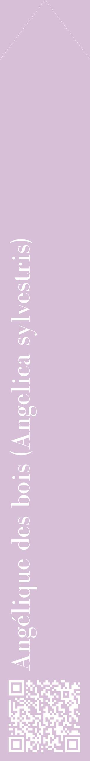 Étiquette de : Angelica sylvestris - format c - style blanche54_simplebod avec qrcode et comestibilité