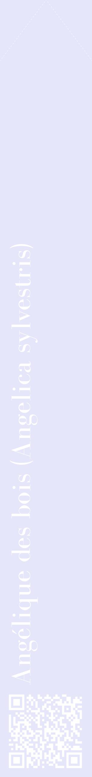 Étiquette de : Angelica sylvestris - format c - style blanche55_simplebod avec qrcode et comestibilité