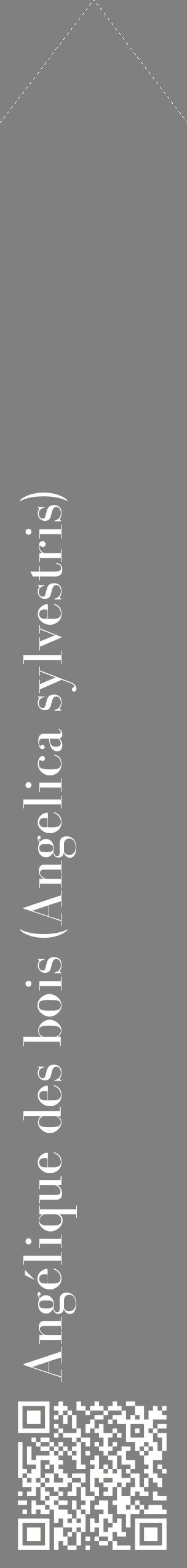 Étiquette de : Angelica sylvestris - format c - style blanche57_simplebod avec qrcode et comestibilité