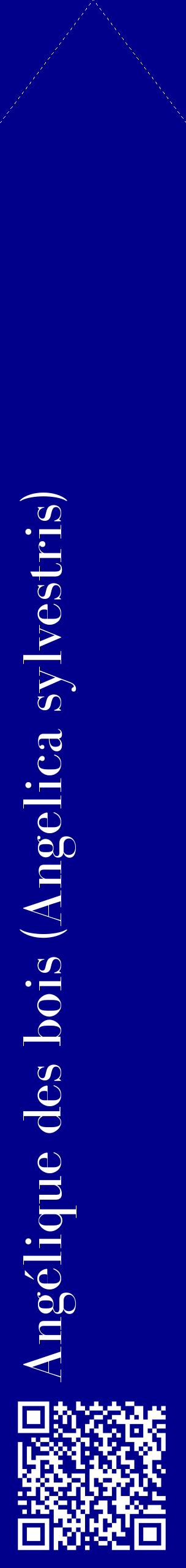 Étiquette de : Angelica sylvestris - format c - style blanche7_simplebod avec qrcode et comestibilité