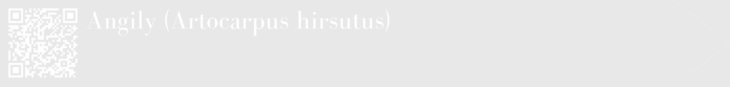 Étiquette de : Artocarpus hirsutus - format c - style blanche55_simple_simplebod avec qrcode et comestibilité