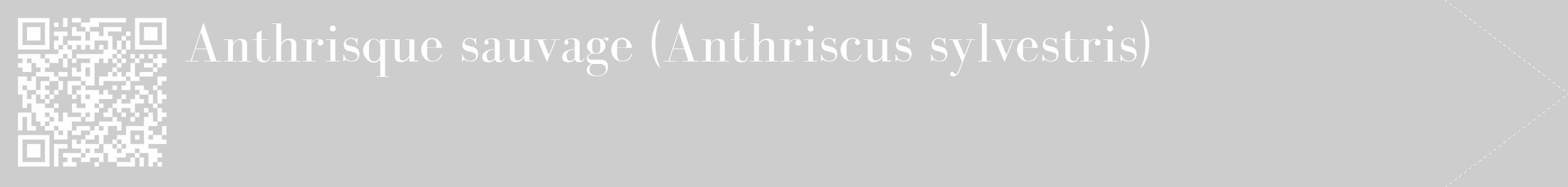 Étiquette de : Anthriscus sylvestris - format c - style blanche41_simple_simplebod avec qrcode et comestibilité