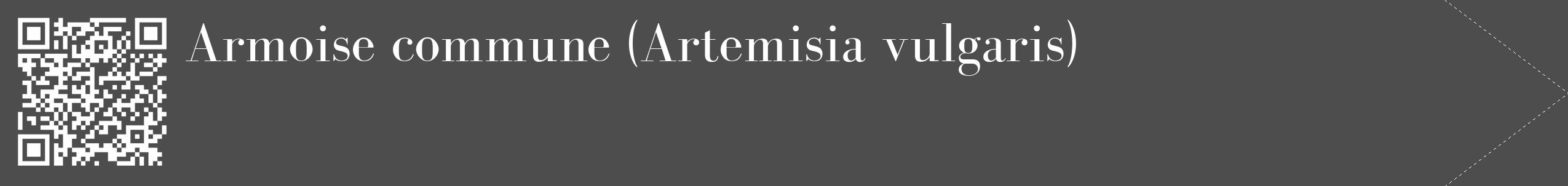 Étiquette de : Artemisia vulgaris - format c - style blanche28_simple_simplebod avec qrcode et comestibilité