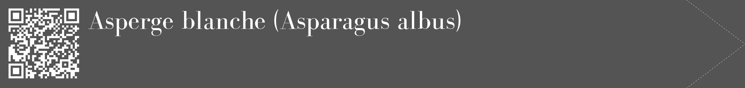 Étiquette de : Asparagus albus - format c - style blanche30_simple_simplebod avec qrcode et comestibilité