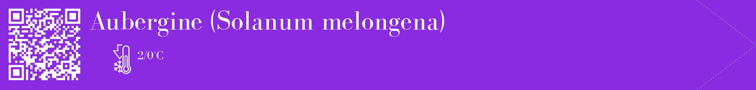 Étiquette de : Solanum melongena - format c - style blanche49_simple_simplebod avec qrcode et comestibilité