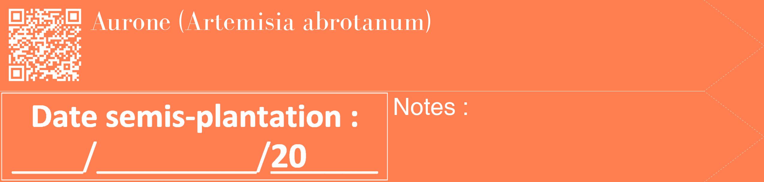 Étiquette de : Artemisia abrotanum - format c - style blanche24_simple_simplebod avec qrcode et comestibilité