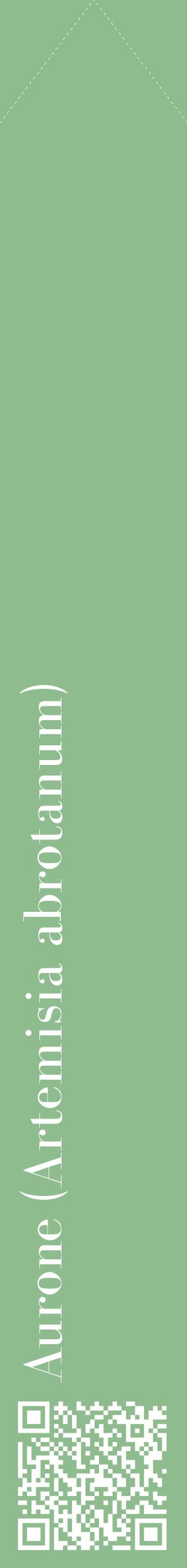 Étiquette de : Artemisia abrotanum - format c - style blanche13_simplebod avec qrcode et comestibilité