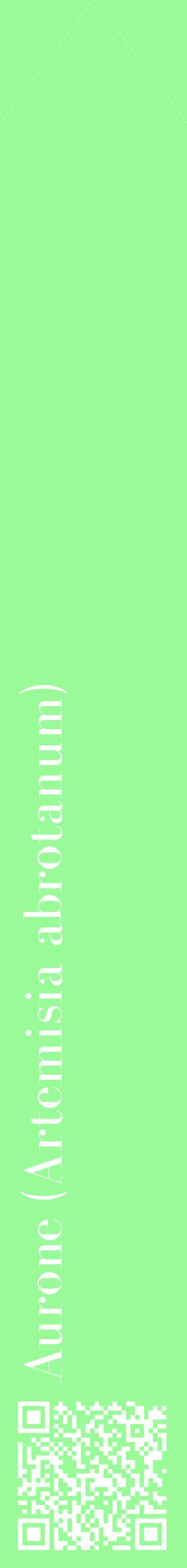 Étiquette de : Artemisia abrotanum - format c - style blanche14_simplebod avec qrcode et comestibilité