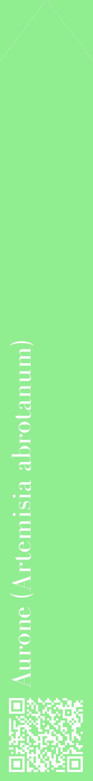 Étiquette de : Artemisia abrotanum - format c - style blanche15_simplebod avec qrcode et comestibilité