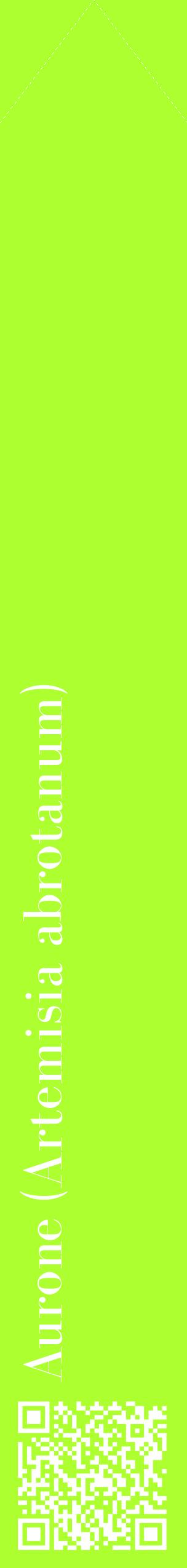 Étiquette de : Artemisia abrotanum - format c - style blanche17_simplebod avec qrcode et comestibilité