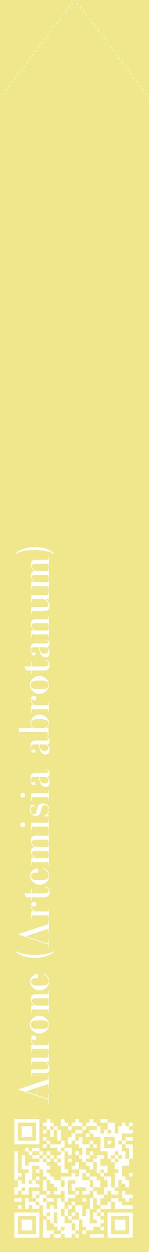 Étiquette de : Artemisia abrotanum - format c - style blanche20_simplebod avec qrcode et comestibilité
