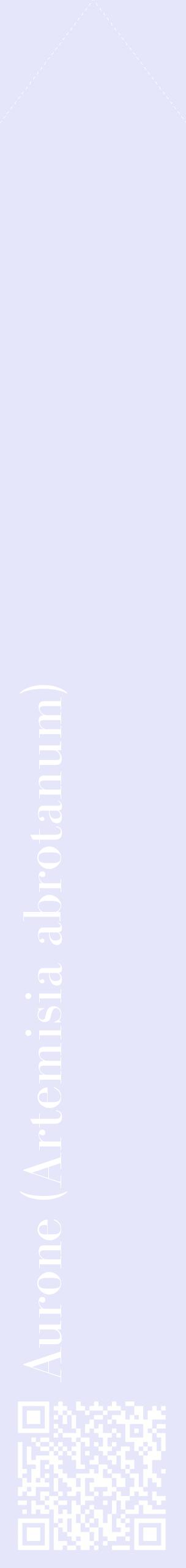Étiquette de : Artemisia abrotanum - format c - style blanche55_simplebod avec qrcode et comestibilité