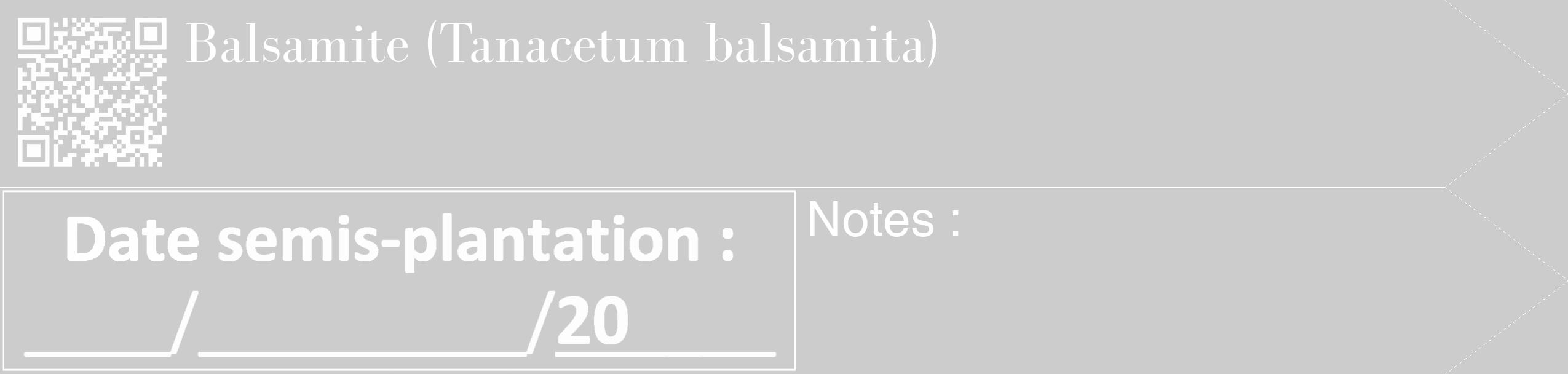 Étiquette de : Tanacetum balsamita - format c - style blanche0_simple_simplebod avec qrcode et comestibilité