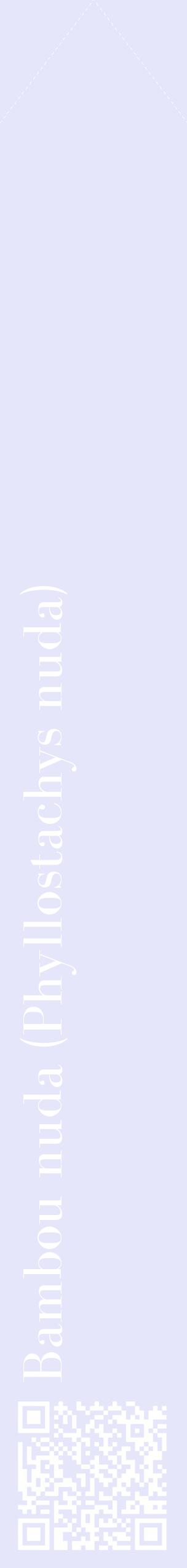 Étiquette de : Phyllostachys nuda - format c - style blanche55_simplebod avec qrcode et comestibilité