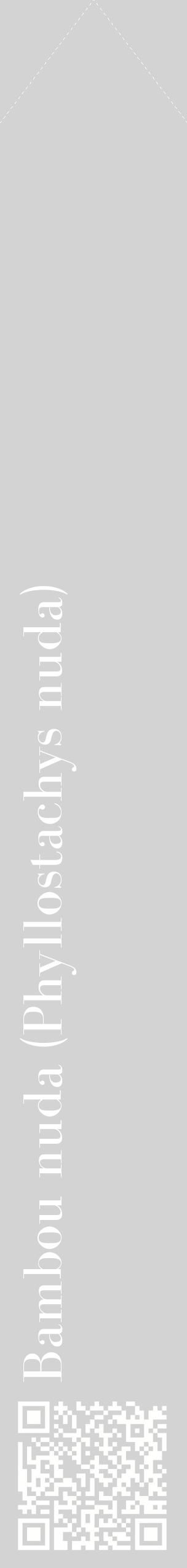 Étiquette de : Phyllostachys nuda - format c - style blanche56_simplebod avec qrcode et comestibilité