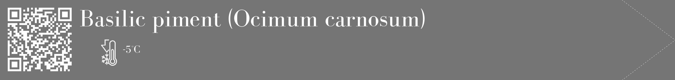 Étiquette de : Ocimum carnosum - format c - style blanche5_simple_simplebod avec qrcode et comestibilité