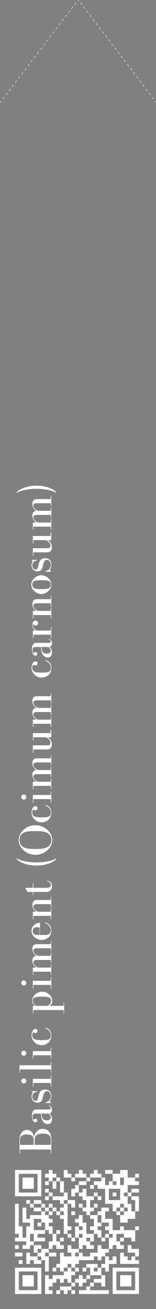 Étiquette de : Ocimum carnosum - format c - style blanche57_simplebod avec qrcode et comestibilité