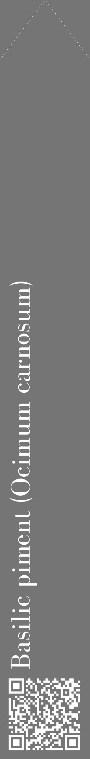 Étiquette de : Ocimum carnosum - format c - style blanche5_simple_simplebod avec qrcode et comestibilité - position verticale