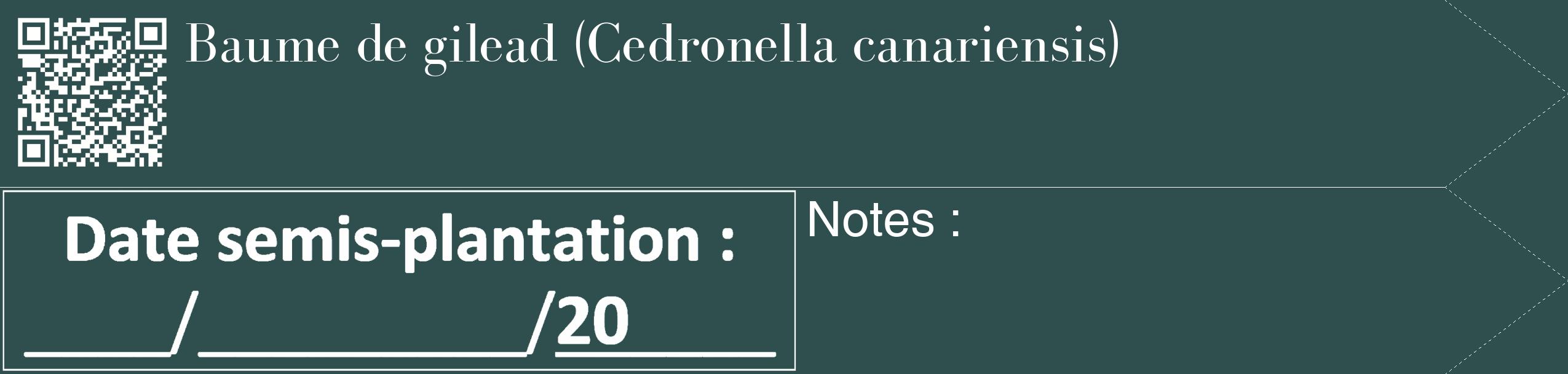 Étiquette de : Cedronella canariensis - format c - style blanche58_simple_simplebod avec qrcode et comestibilité