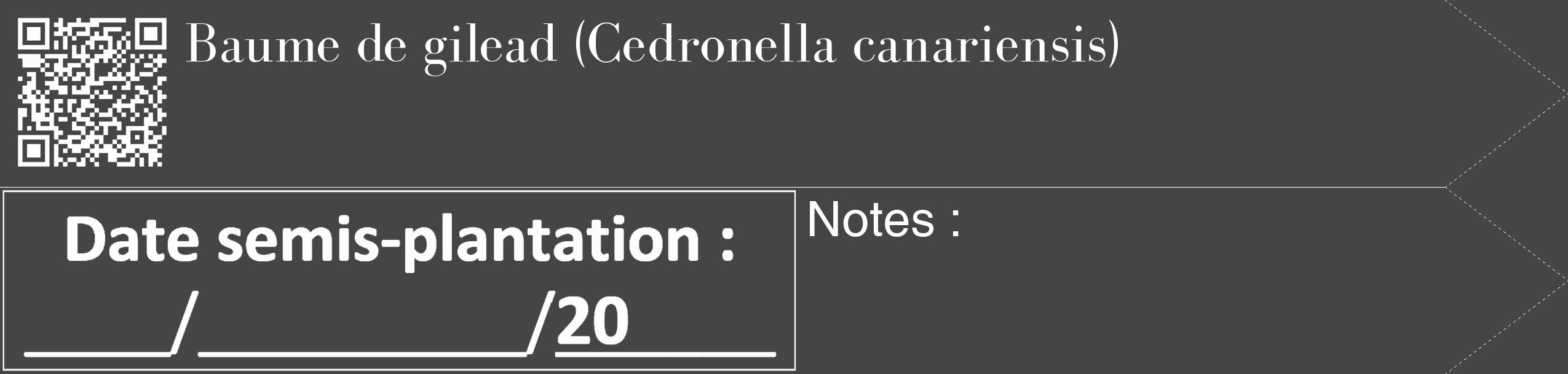 Étiquette de : Cedronella canariensis - format c - style blanche58_simple_simplebod avec qrcode et comestibilité
