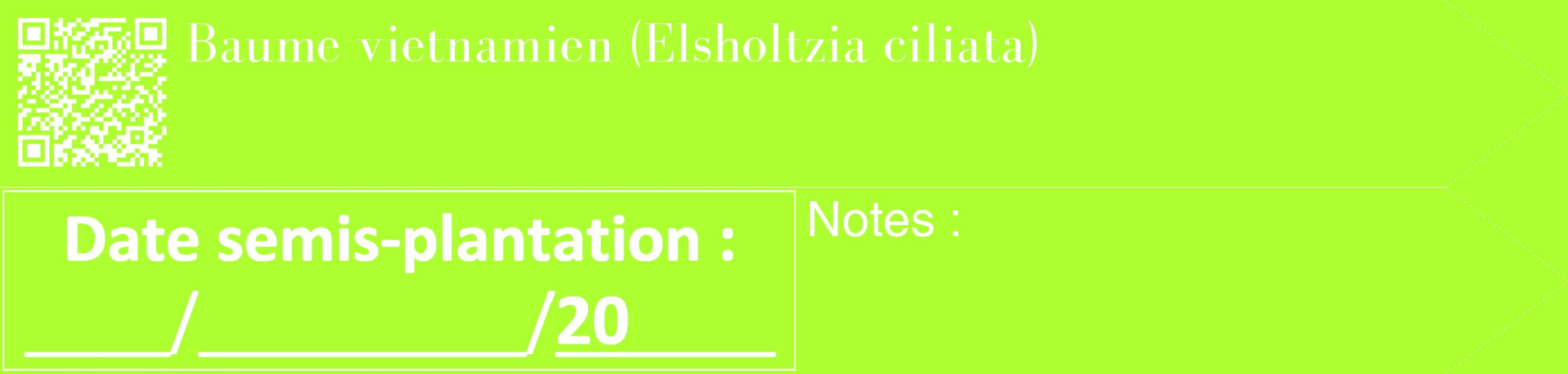 Étiquette de : Elsholtzia ciliata - format c - style blanche17_simple_simplebod avec qrcode et comestibilité