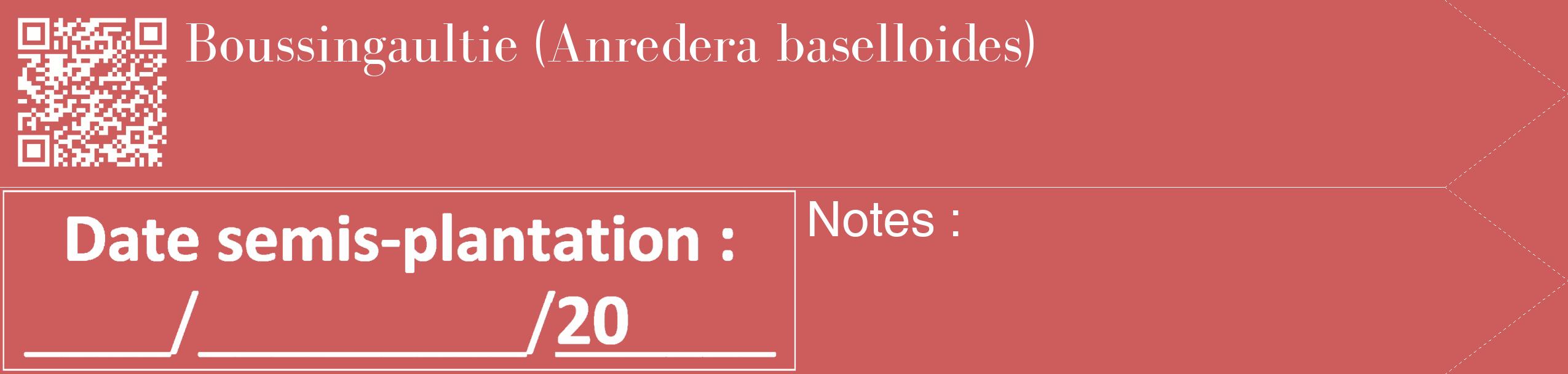 Étiquette de : Anredera baselloides - format c - style blanche35_simple_simplebod avec qrcode et comestibilité
