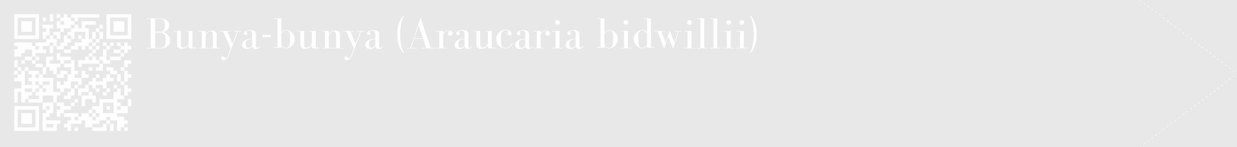 Étiquette de : Araucaria bidwillii - format c - style blanche55_simple_simplebod avec qrcode et comestibilité