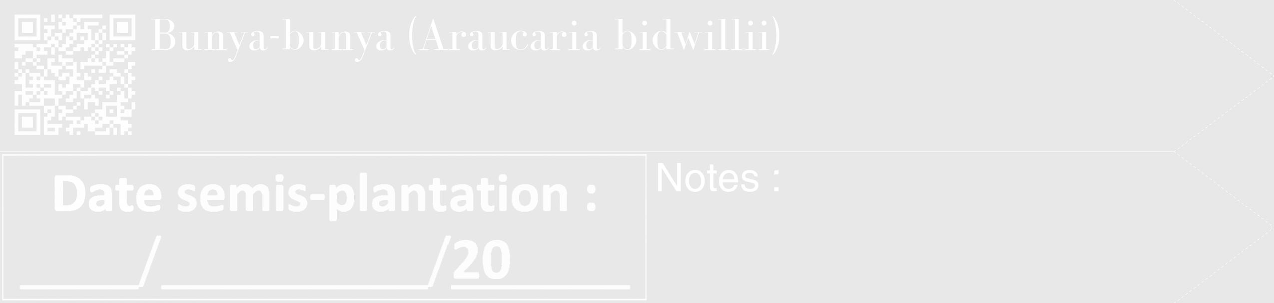 Étiquette de : Araucaria bidwillii - format c - style blanche55_simple_simplebod avec qrcode et comestibilité