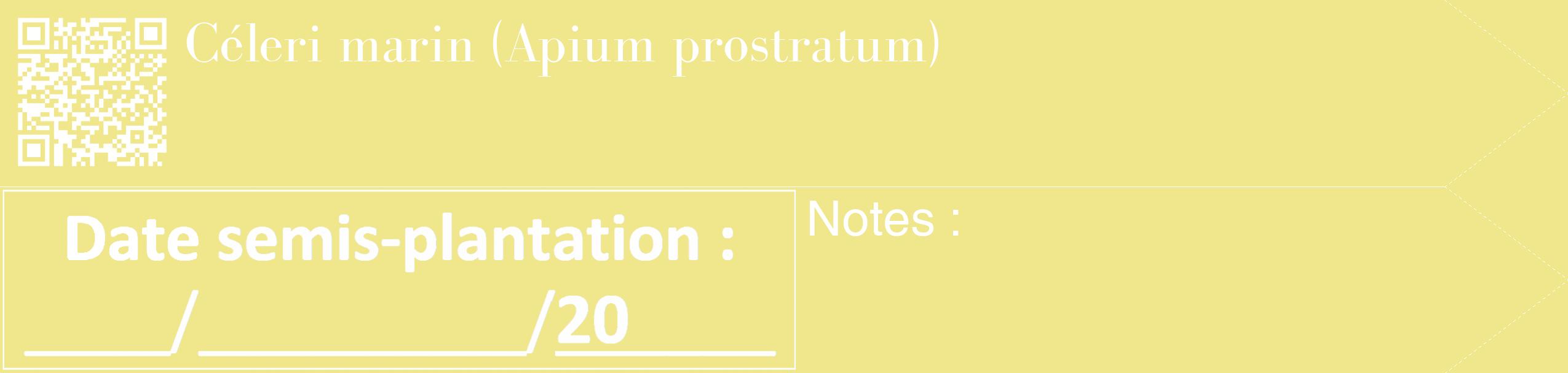 Étiquette de : Apium prostratum - format c - style blanche20_simple_simplebod avec qrcode et comestibilité