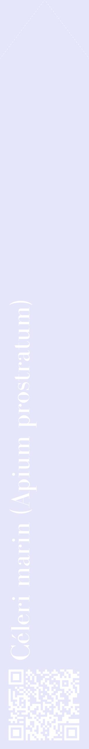 Étiquette de : Apium prostratum - format c - style blanche55_simplebod avec qrcode et comestibilité
