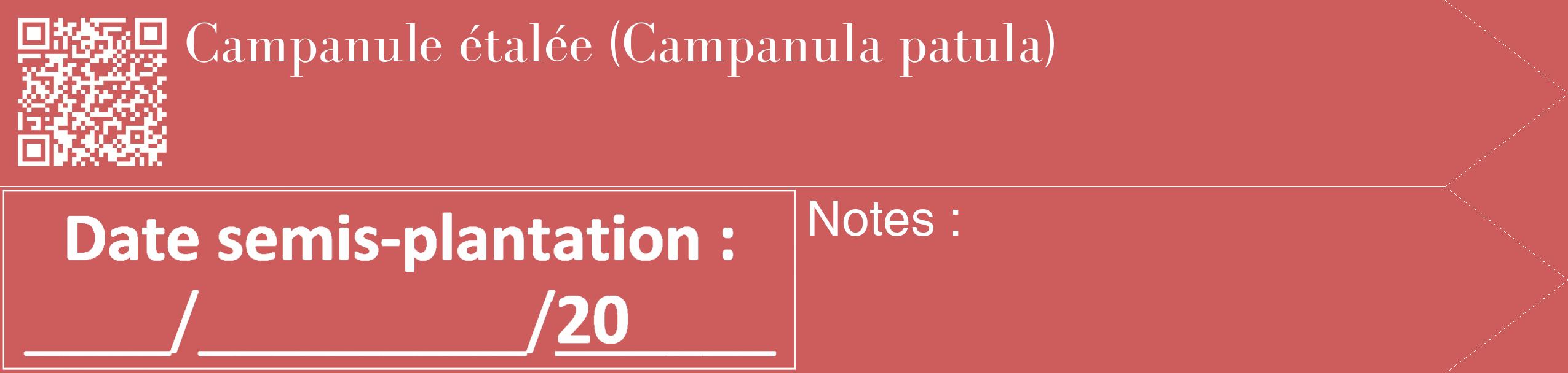 Étiquette de : Campanula patula - format c - style blanche35_simple_simplebod avec qrcode et comestibilité