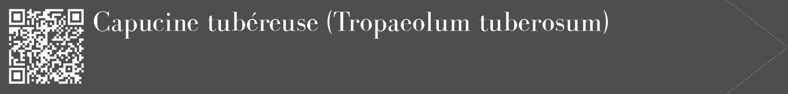 Étiquette de : Tropaeolum tuberosum - format c - style blanche33_simple_simplebod avec qrcode et comestibilité