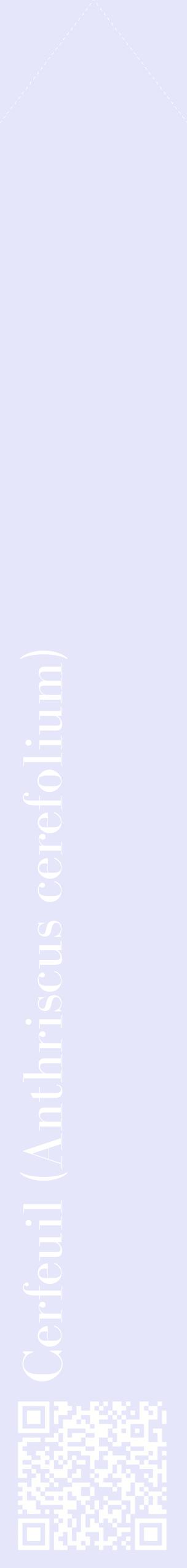 Étiquette de : Anthriscus cerefolium - format c - style blanche55_simplebod avec qrcode et comestibilité