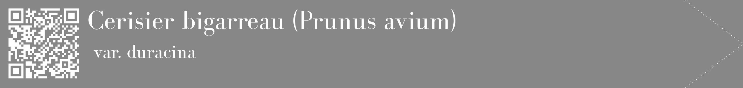 Étiquette de : Prunus avium var. duracina - format c - style blanche12_simple_simplebod avec qrcode et comestibilité