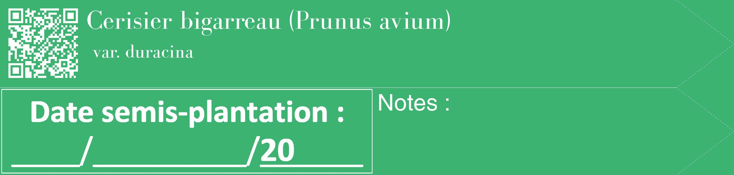 Étiquette de : Prunus avium var. duracina - format c - style blanche12_simple_simplebod avec qrcode et comestibilité