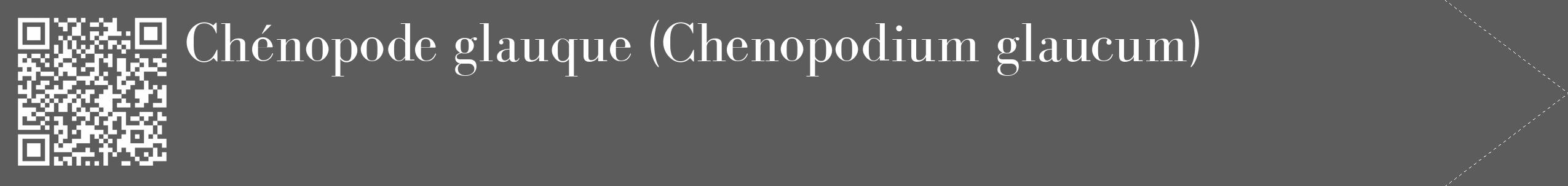 Étiquette de : Chenopodium glaucum - format c - style blanche49_simple_simplebod avec qrcode et comestibilité