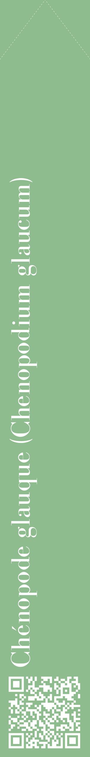 Étiquette de : Chenopodium glaucum - format c - style blanche13_simplebod avec qrcode et comestibilité