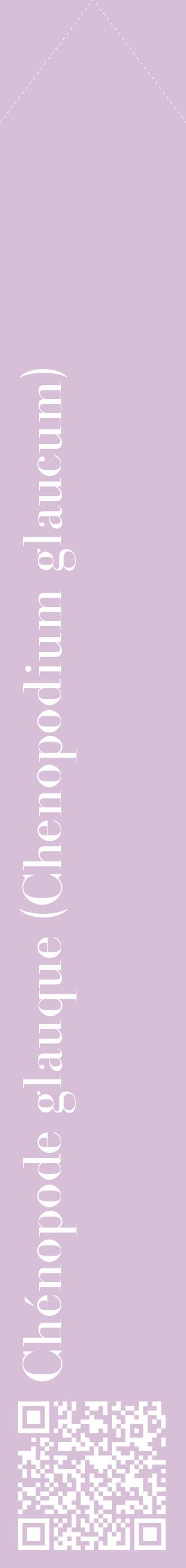 Étiquette de : Chenopodium glaucum - format c - style blanche54_simplebod avec qrcode et comestibilité