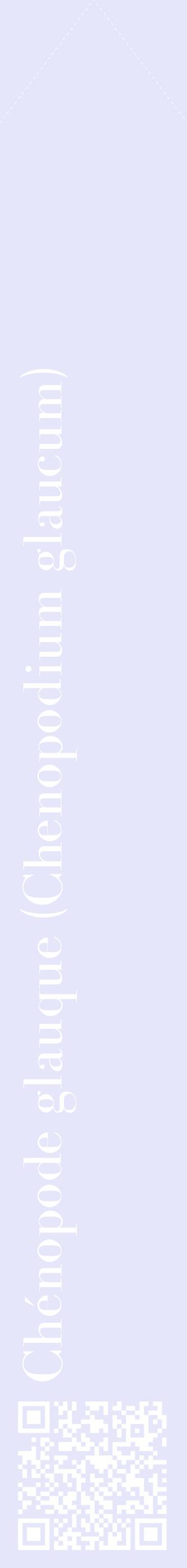 Étiquette de : Chenopodium glaucum - format c - style blanche55_simplebod avec qrcode et comestibilité