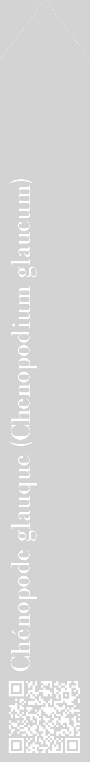 Étiquette de : Chenopodium glaucum - format c - style blanche56_simplebod avec qrcode et comestibilité