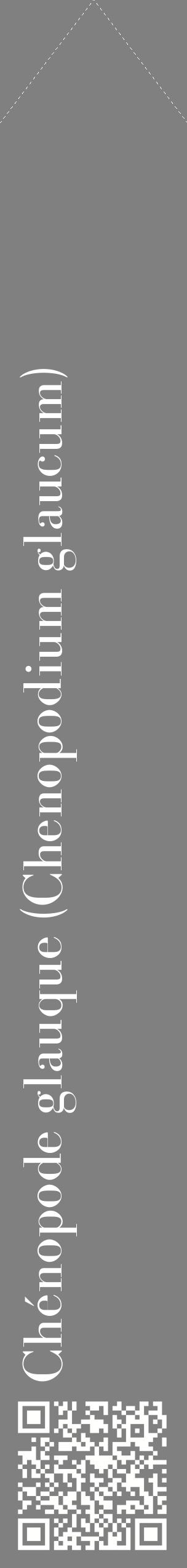 Étiquette de : Chenopodium glaucum - format c - style blanche57_simplebod avec qrcode et comestibilité