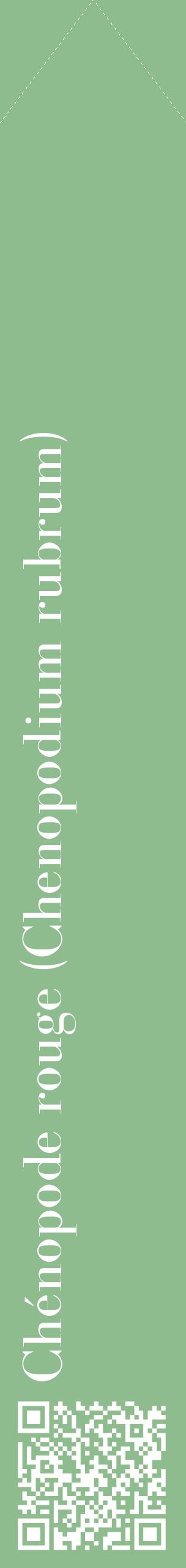 Étiquette de : Chenopodium rubrum - format c - style blanche13_simplebod avec qrcode et comestibilité