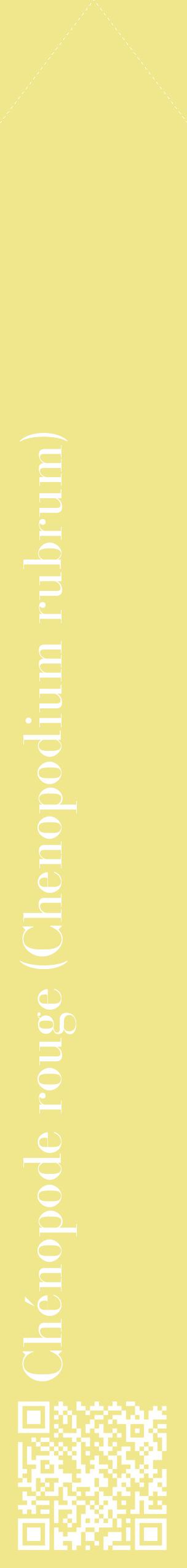 Étiquette de : Chenopodium rubrum - format c - style blanche20_simplebod avec qrcode et comestibilité