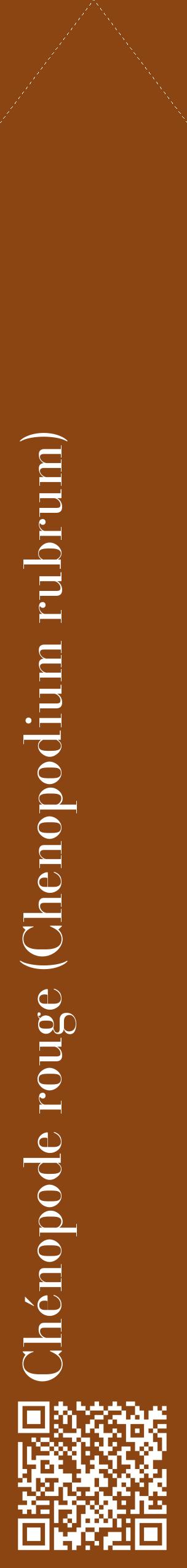 Étiquette de : Chenopodium rubrum - format c - style blanche30_simplebod avec qrcode et comestibilité