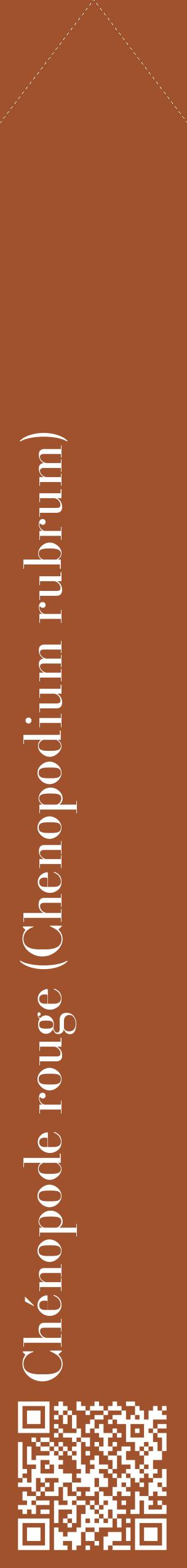 Étiquette de : Chenopodium rubrum - format c - style blanche32_simplebod avec qrcode et comestibilité