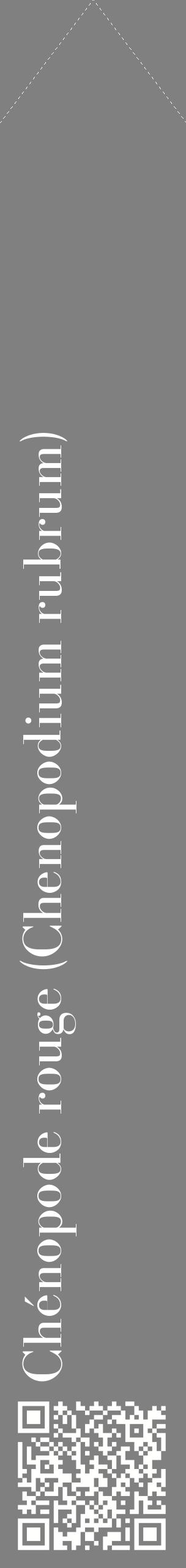 Étiquette de : Chenopodium rubrum - format c - style blanche57_simplebod avec qrcode et comestibilité