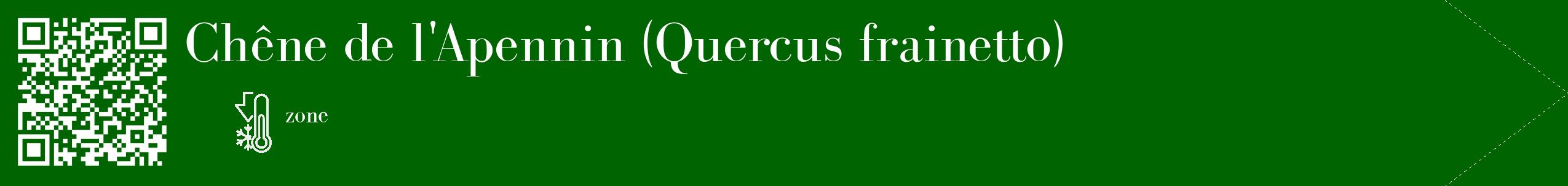 Étiquette de : Quercus frainetto - format c - style blanche8_simple_simplebod avec qrcode et comestibilité