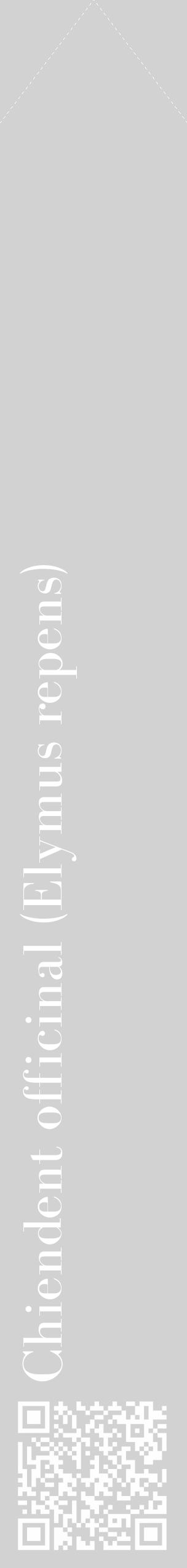 Étiquette de : Elymus repens - format c - style blanche14_simple_simplebod avec qrcode et comestibilité - position verticale