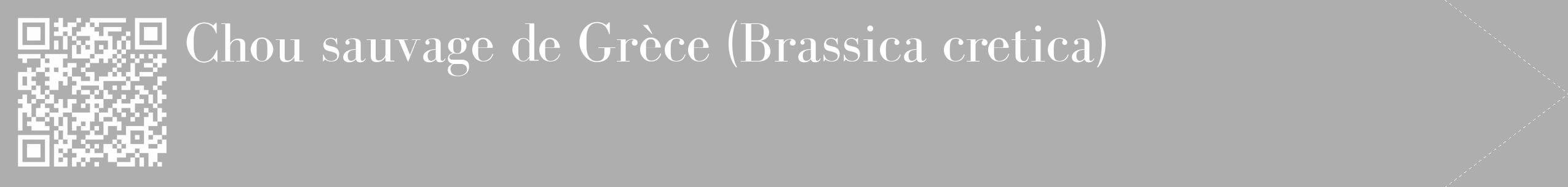 Étiquette de : Brassica cretica - format c - style blanche53_simple_simplebod avec qrcode et comestibilité