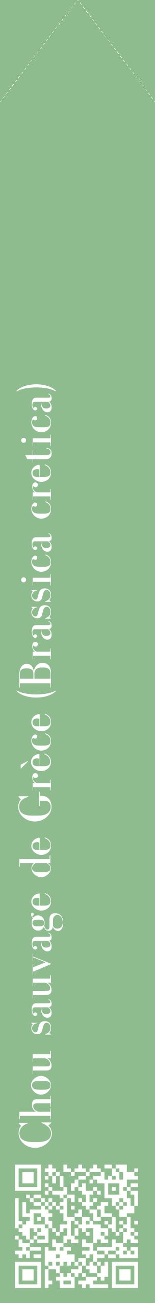 Étiquette de : Brassica cretica - format c - style blanche13_simplebod avec qrcode et comestibilité